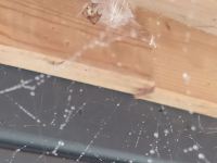 IMG_20211029_111914