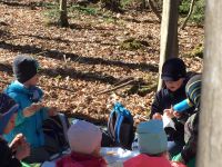 Brotzeit am Waldtag