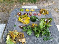 IMG_20211011_104140